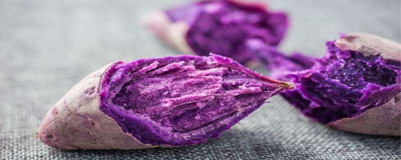 紫薯发芽能吃吗